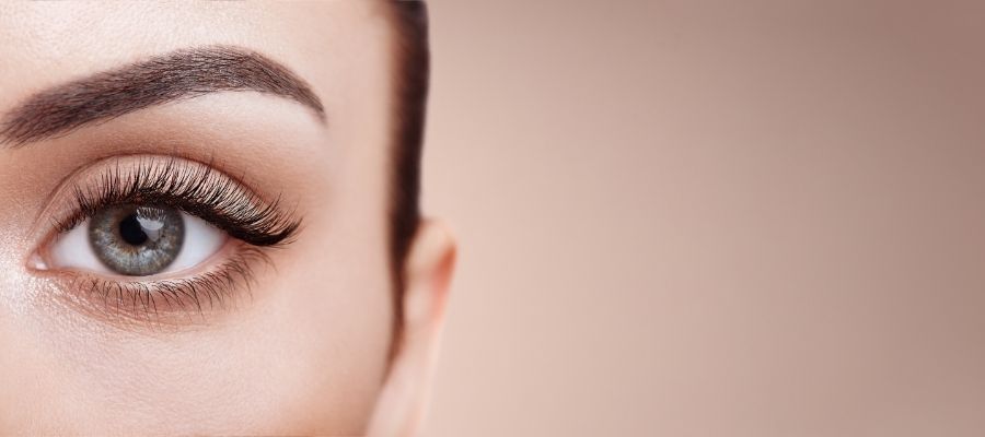 Professional Eyelash Services Ultimate Guide