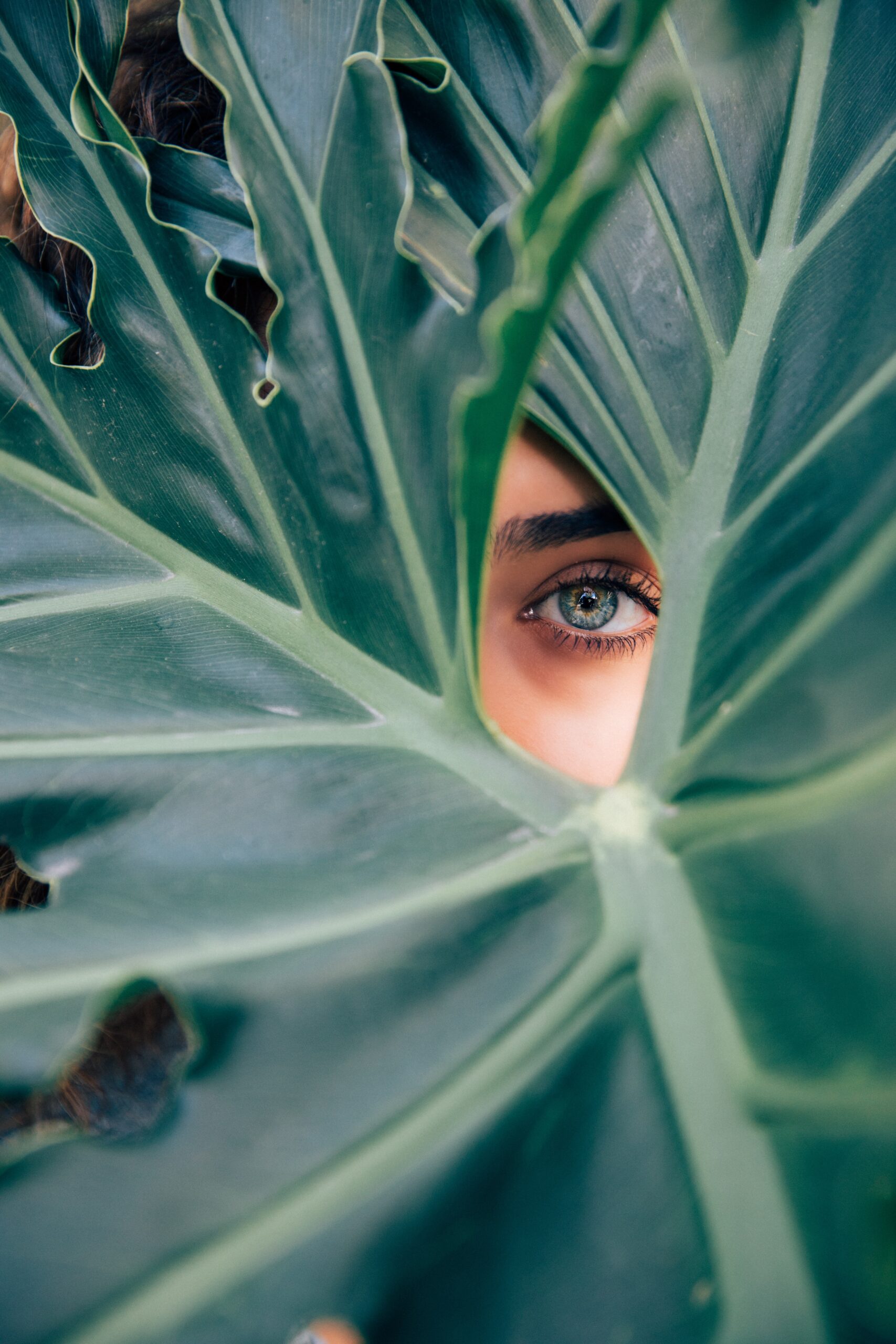 Enhance Your Look with Eye Lashes